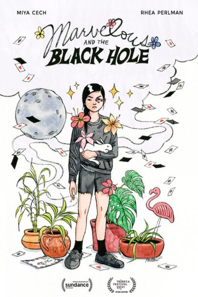 L'affiche du film Marvelous and the Black Hole