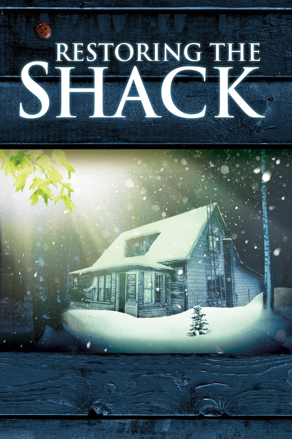 L'affiche du film Restoring the Shack