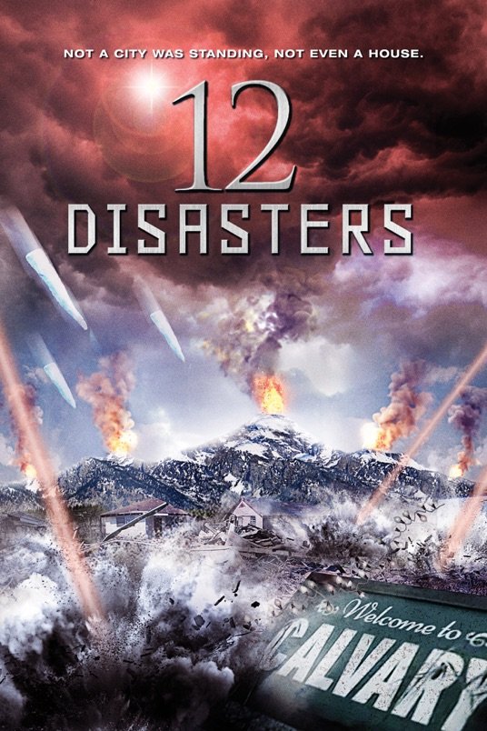 L'affiche du film The 12 Disasters of Christmas [2012]