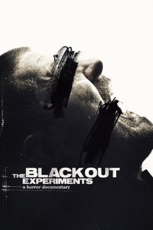 L'affiche du film The Blackout Experiments