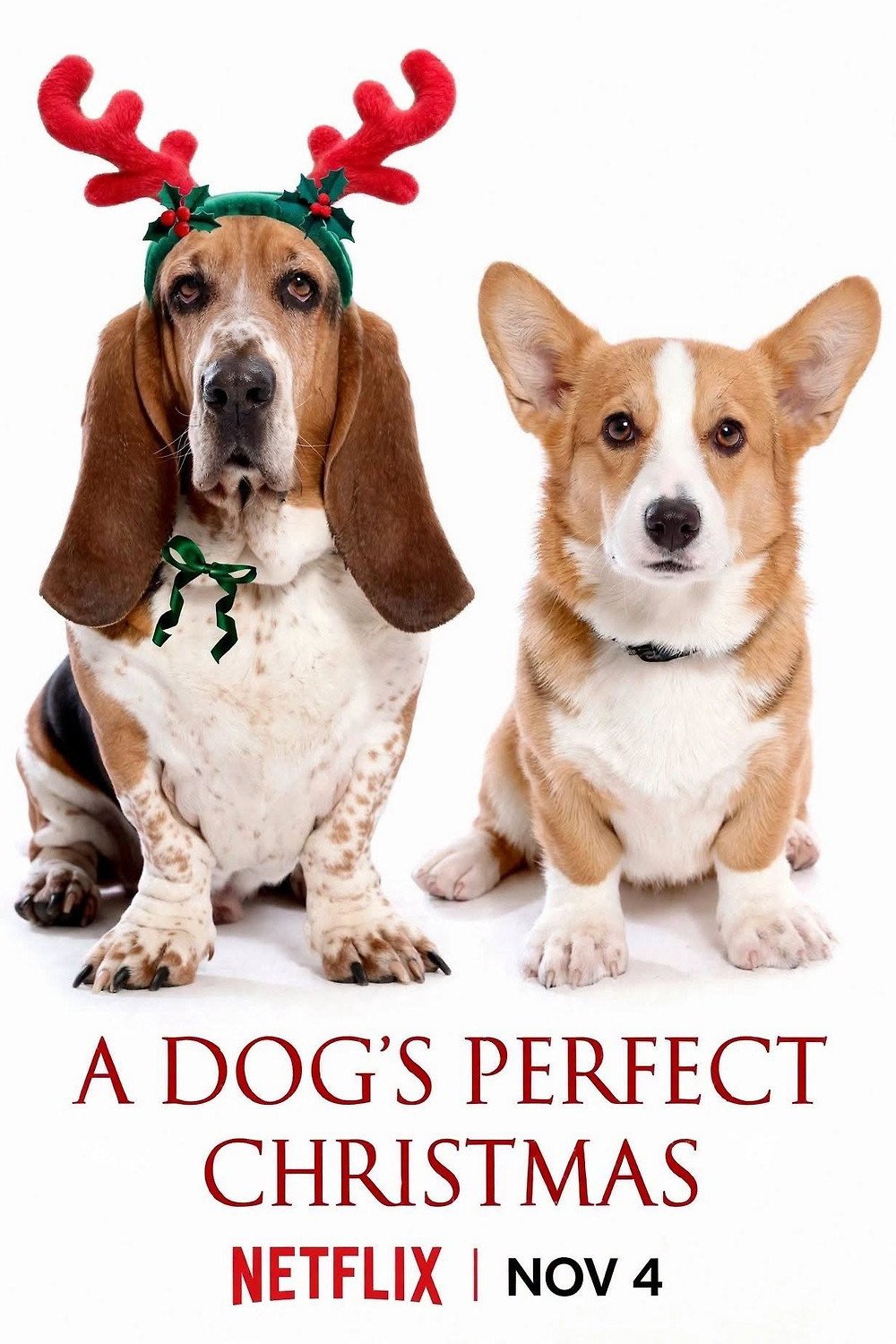 Poster of the movie A Dog's Perfect Christmas [2026]
