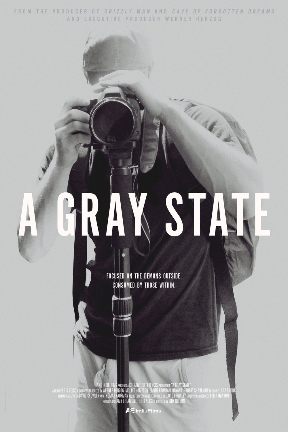 Poster of the movie A Gray State [2017]