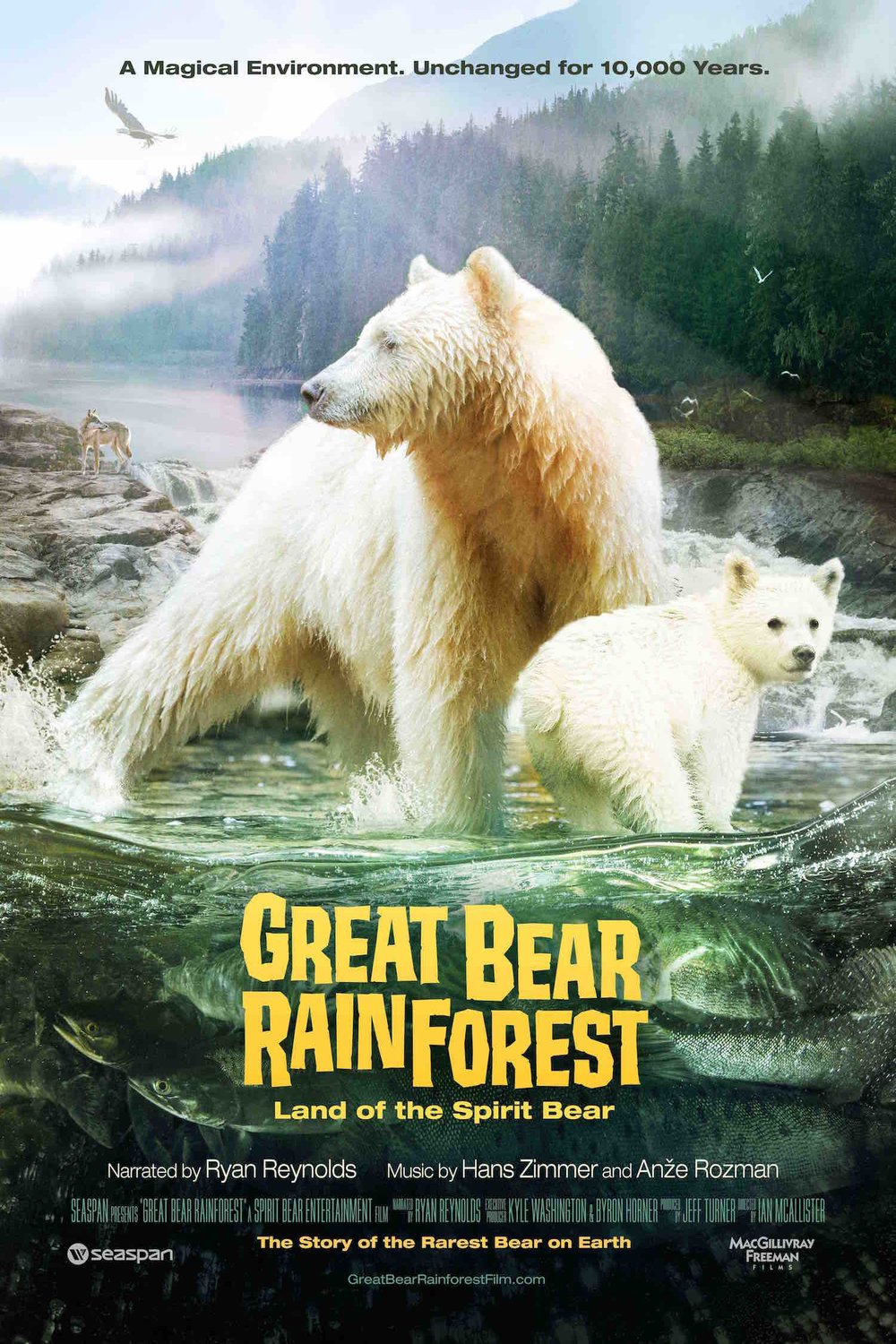 L'affiche du film Dans la forêt de l'ours esprit