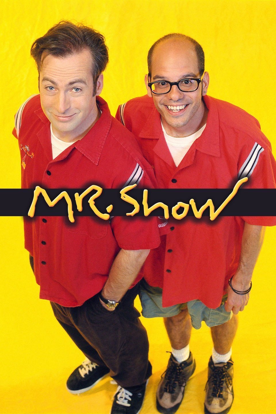 L'affiche du film Mr. Show with Bob and David