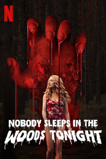 L'affiche du film Nobody Sleeps in the Woods Tonight