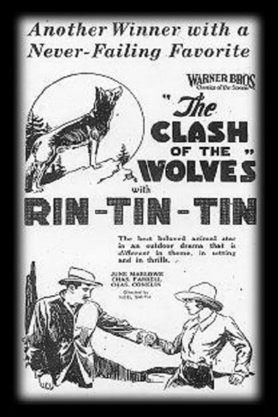 L'affiche du film The Clash of the Wolves [1925]