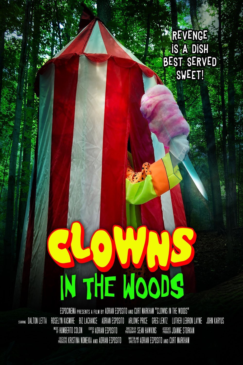 L'affiche du film Clowns in the Woods