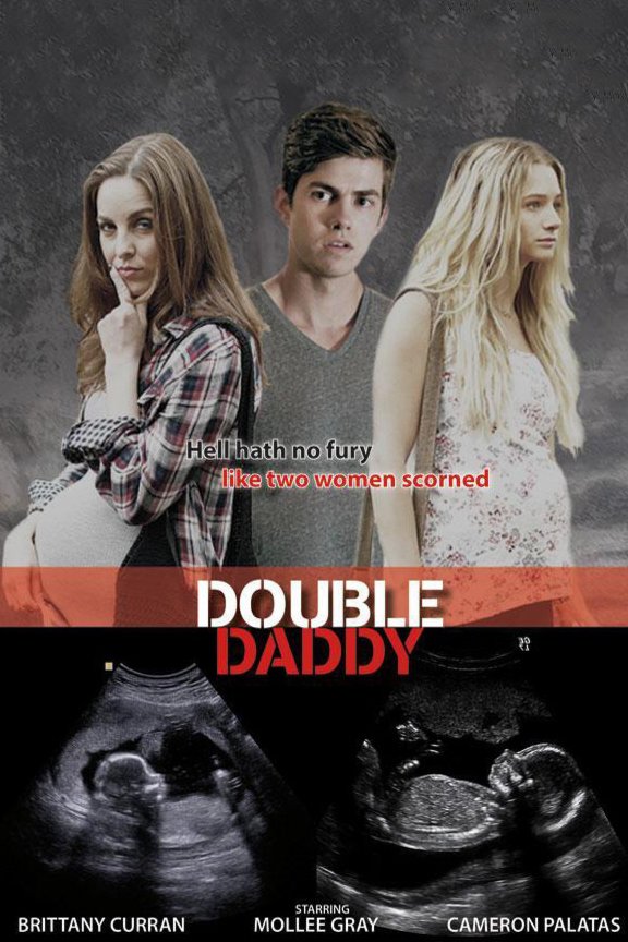 L'affiche du film Double Daddy