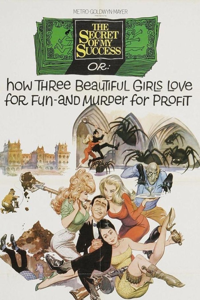 L'affiche du film The Secret of My Success