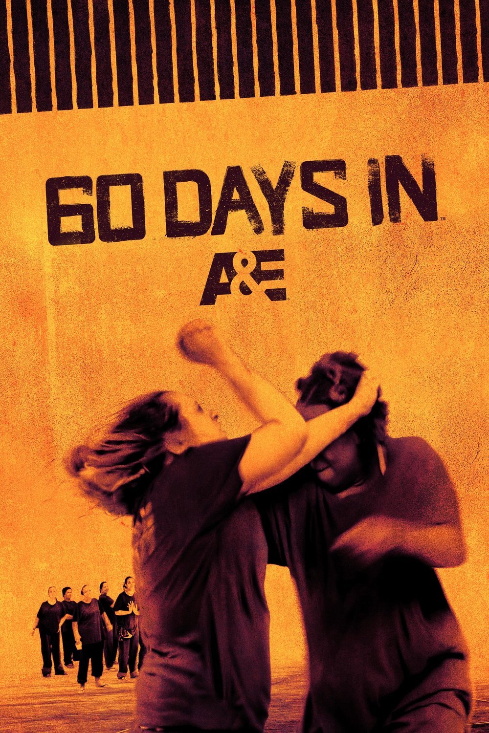 Poster of the movie 60 Days in