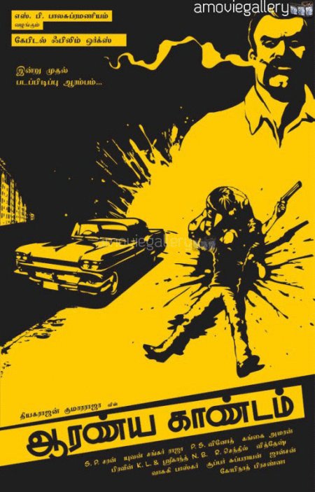 Poster of the movie Anima and Persona