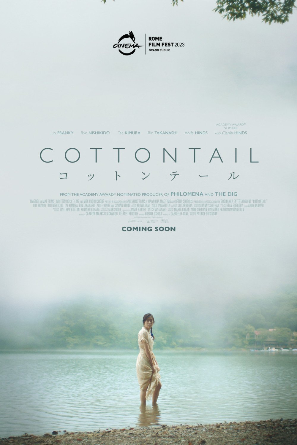 Poster of the movie Cottontail