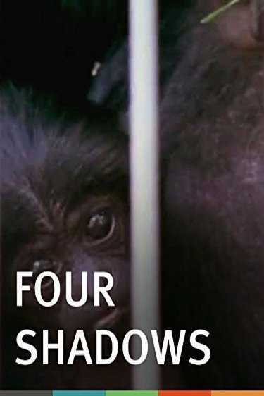 Four Shadows [1978] (1978) by Larry Gottheim