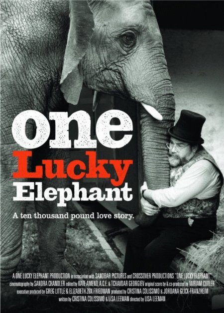 Poster of the movie One Lucky Elephant