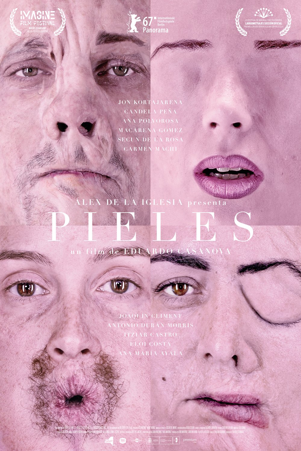 Spanish poster of the movie Skins