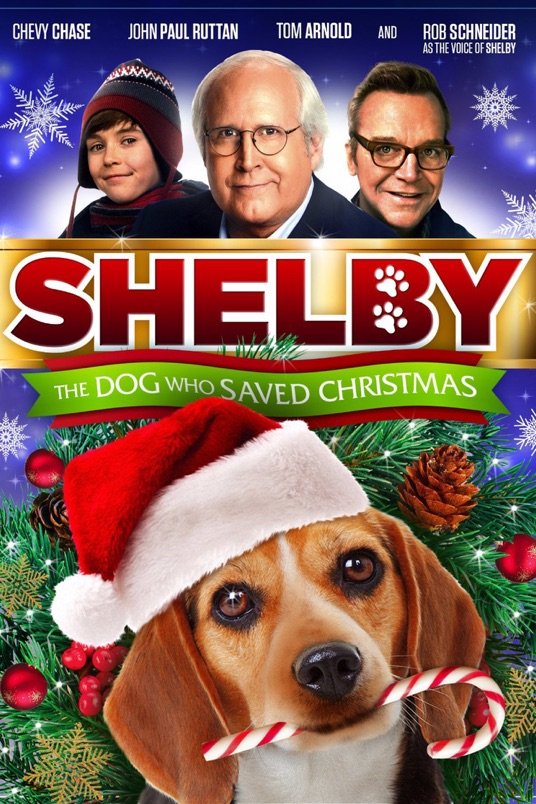 L'affiche du film Shelby