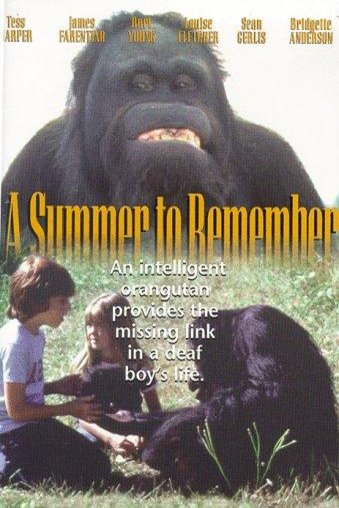 Poster of the movie A Summer to Remember