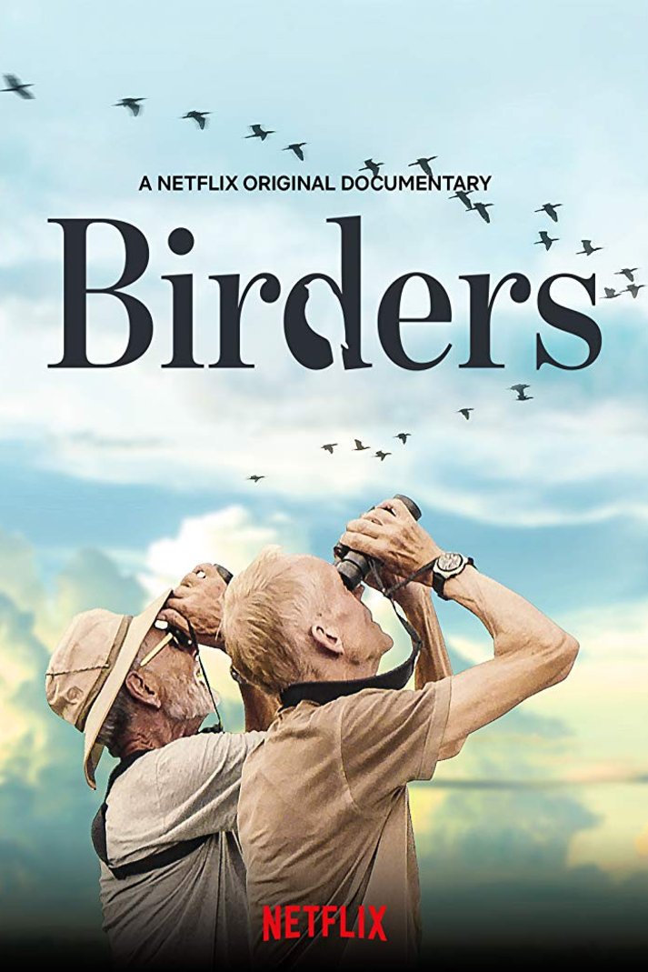 L'affiche du film Birders