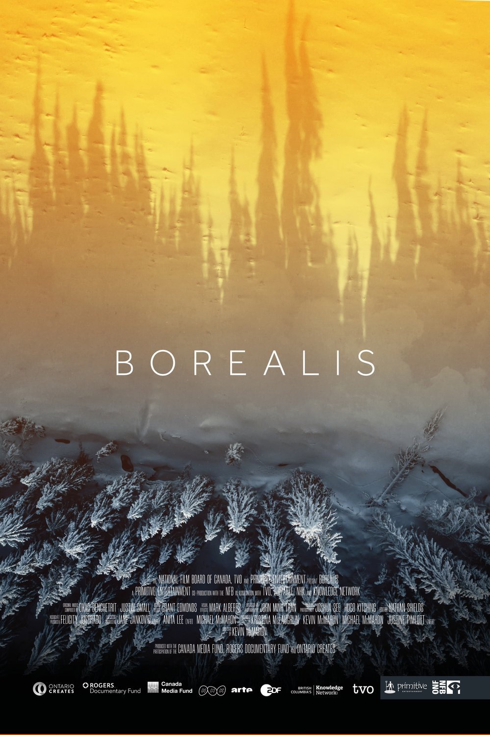 L'affiche du film Borealis v.f.
