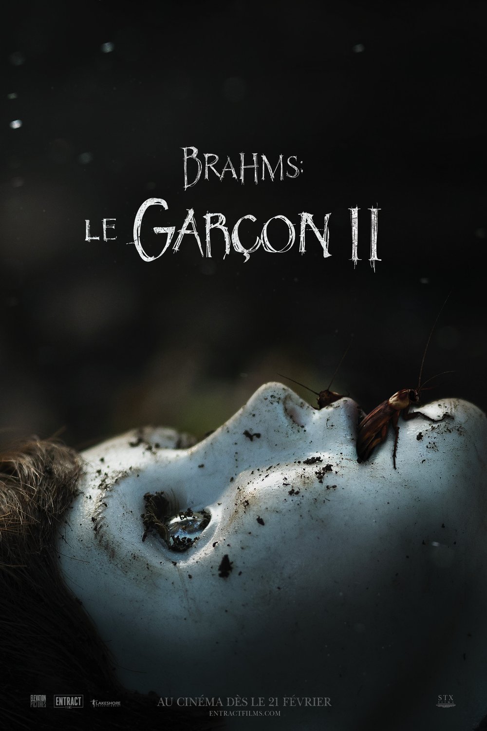 L'affiche du film Brahms: Le garçon II