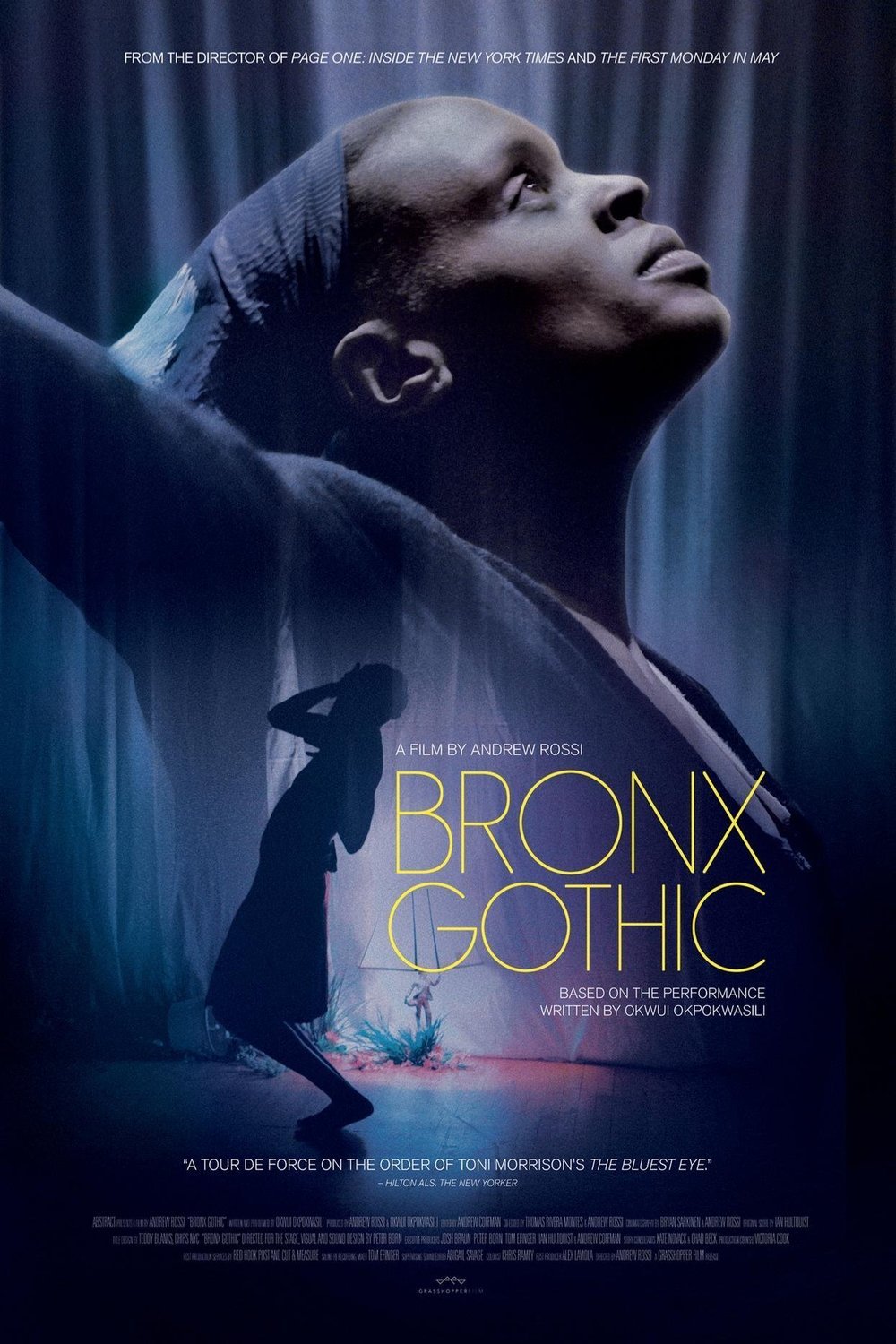L'affiche du film Bronx Gothic