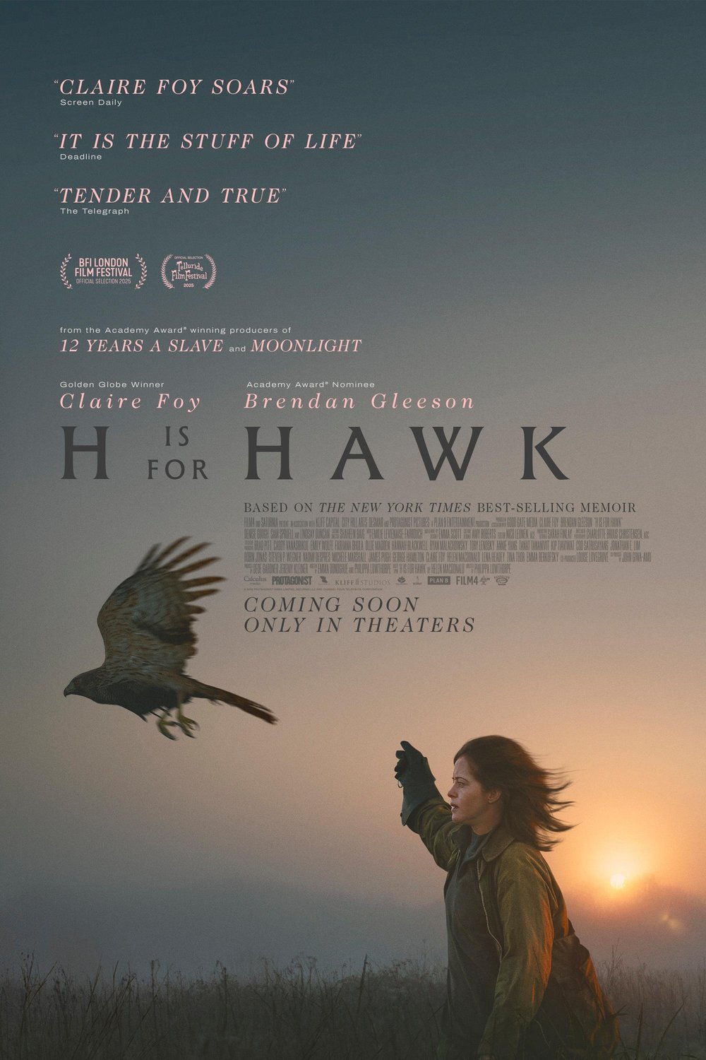 Poster of the movie H Is for Hawk