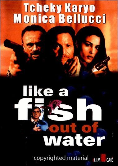 L'affiche du film Like a Fish Out of Water