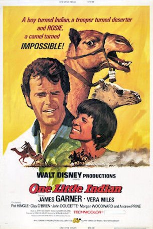 Poster of the movie One Little Indian