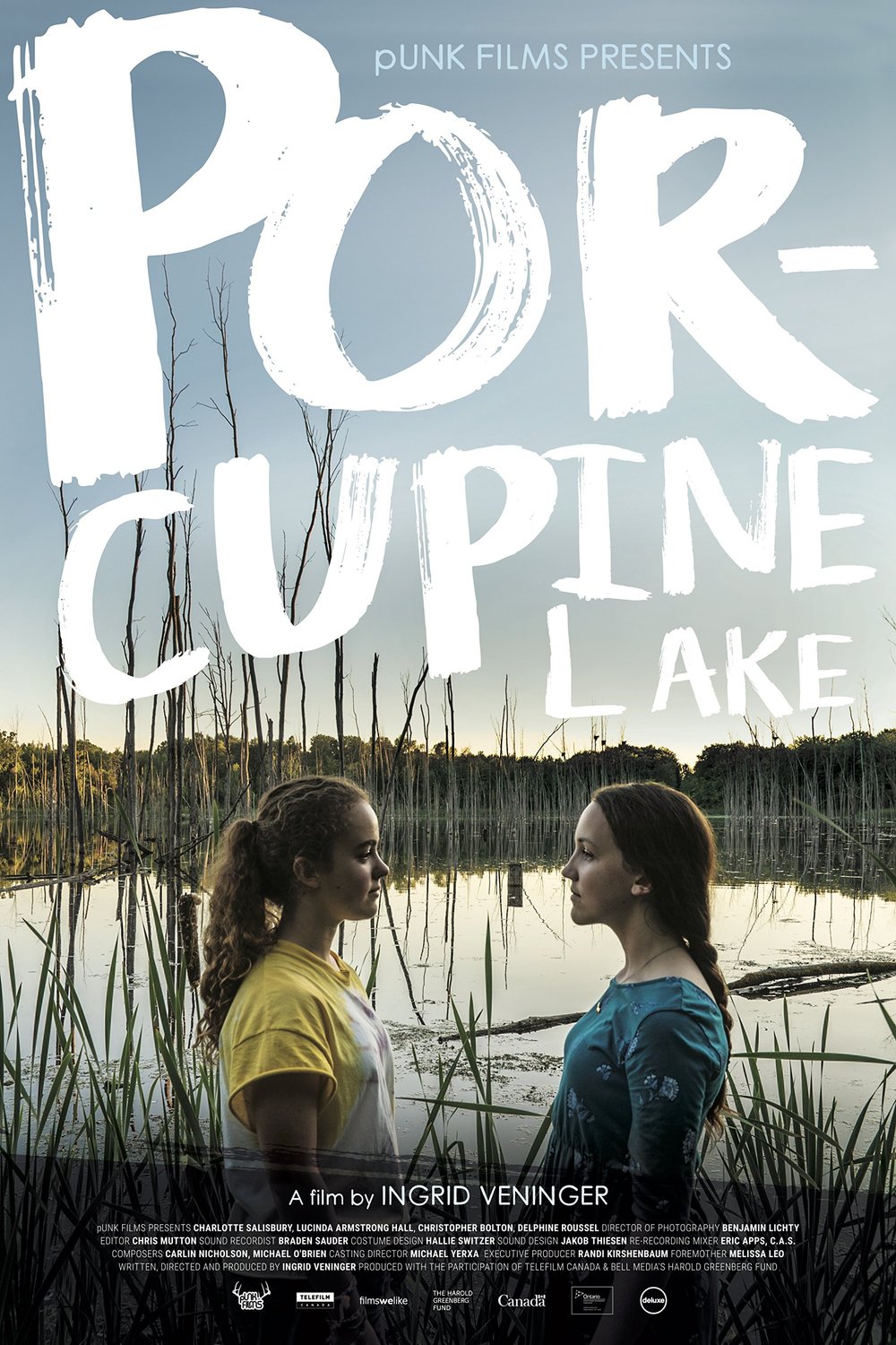 L'affiche du film Porcupine Lake