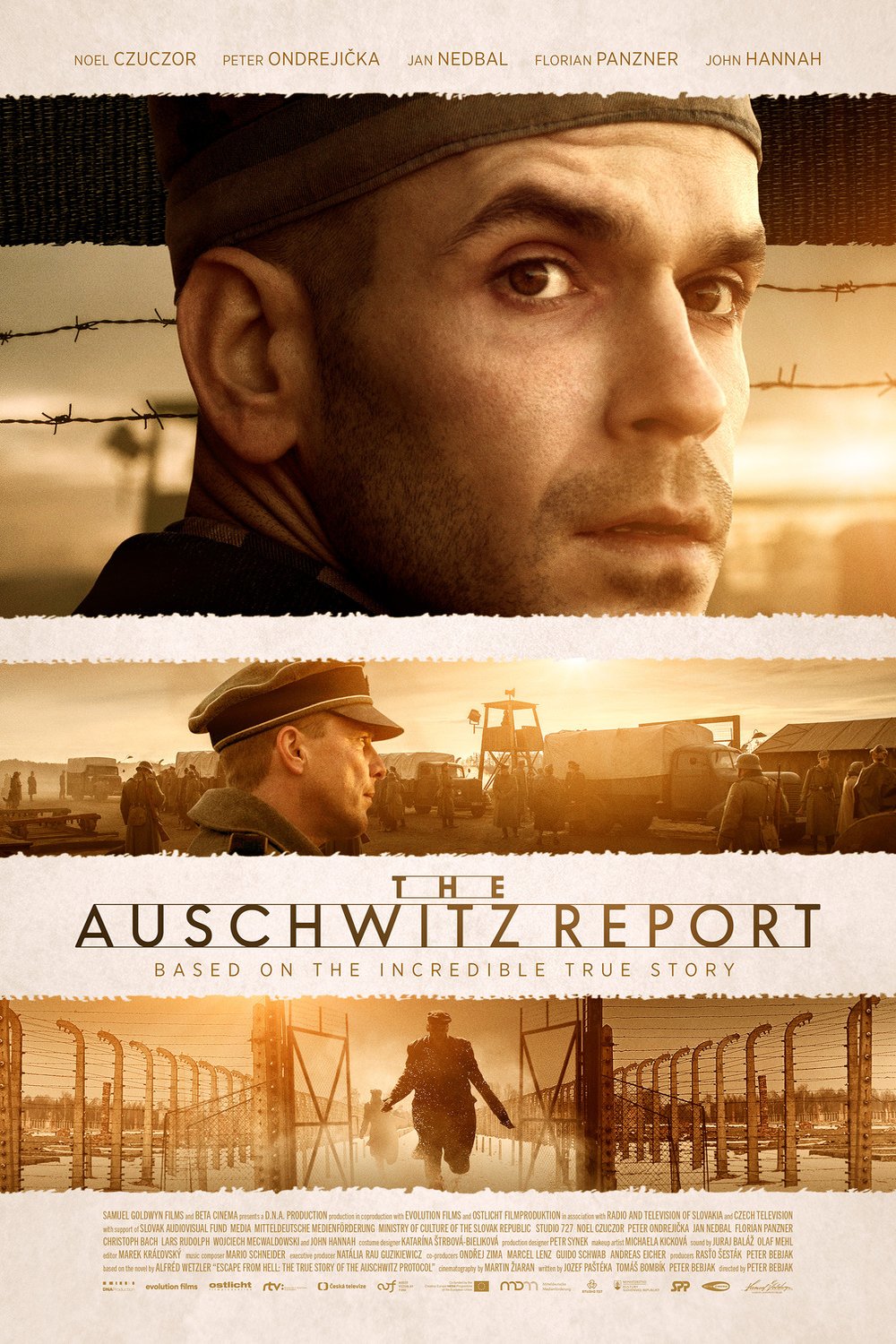 L'affiche originale du film The Auschwitz Report en anglais