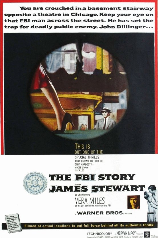 L'affiche du film The FBI Story