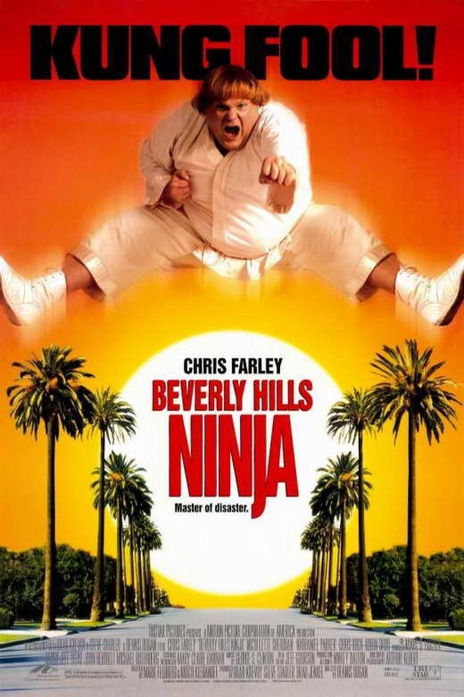 Poster of the movie Beverly Hills Ninja