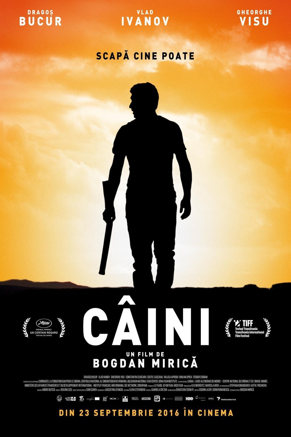 Poster of the movie Câini