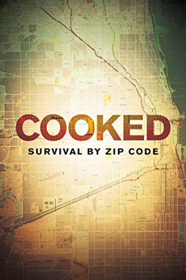 Poster of the movie Cooked: Survival by Zip Code