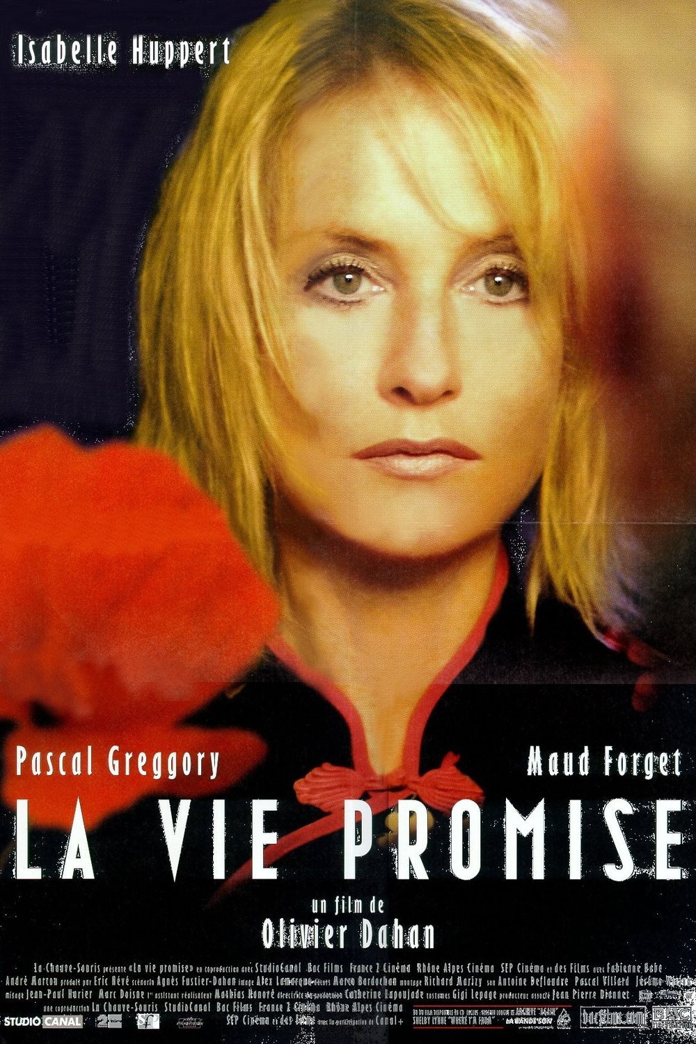 Poster of the movie La Vie promise
