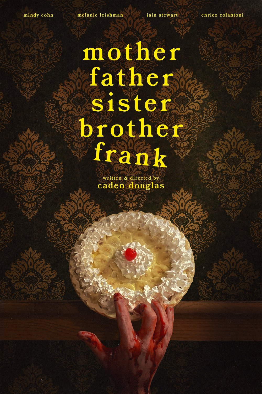 L'affiche du film Mother Father Sister Brother Frank [2024]