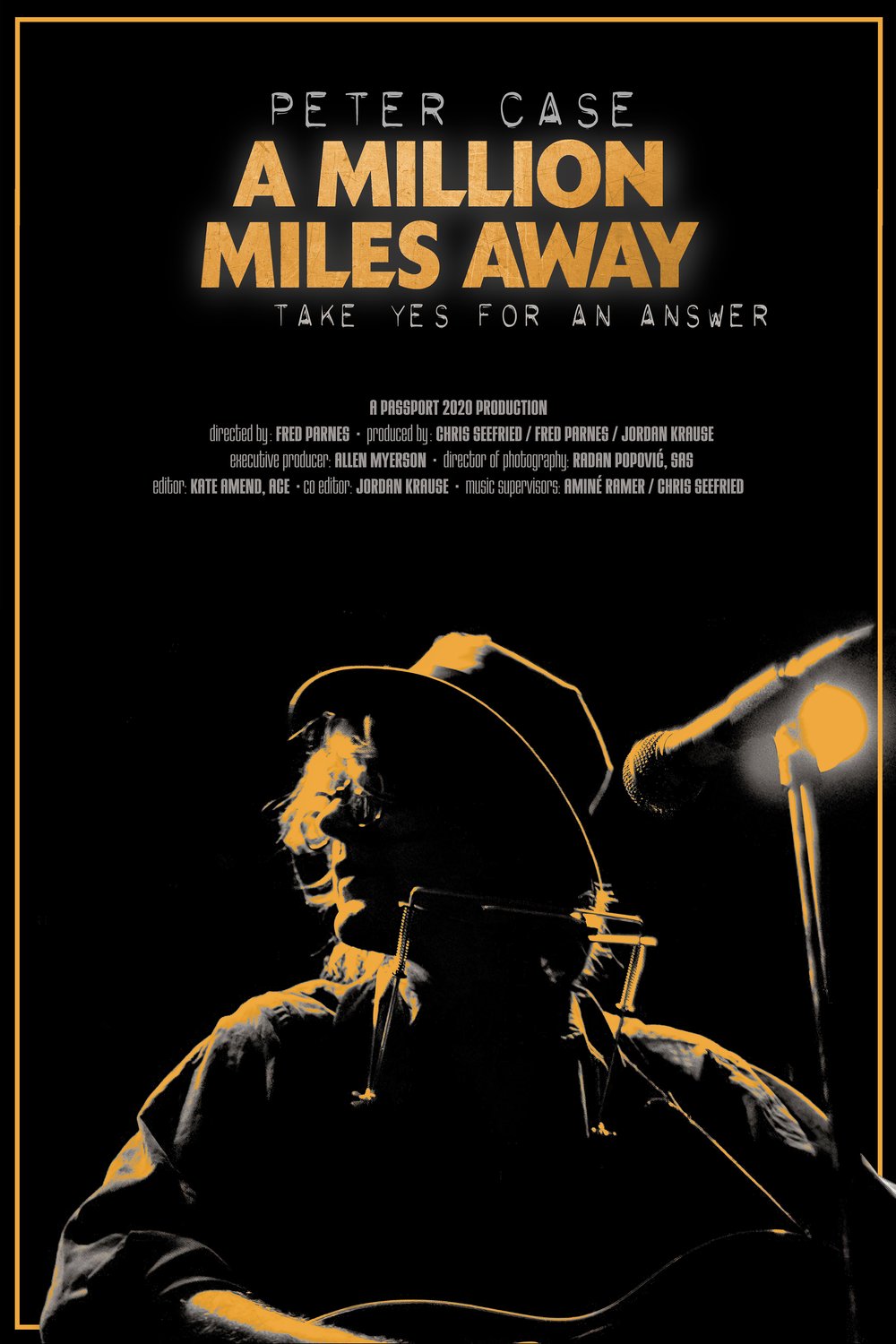 Poster of the movie Peter Case: A Million Miles Away