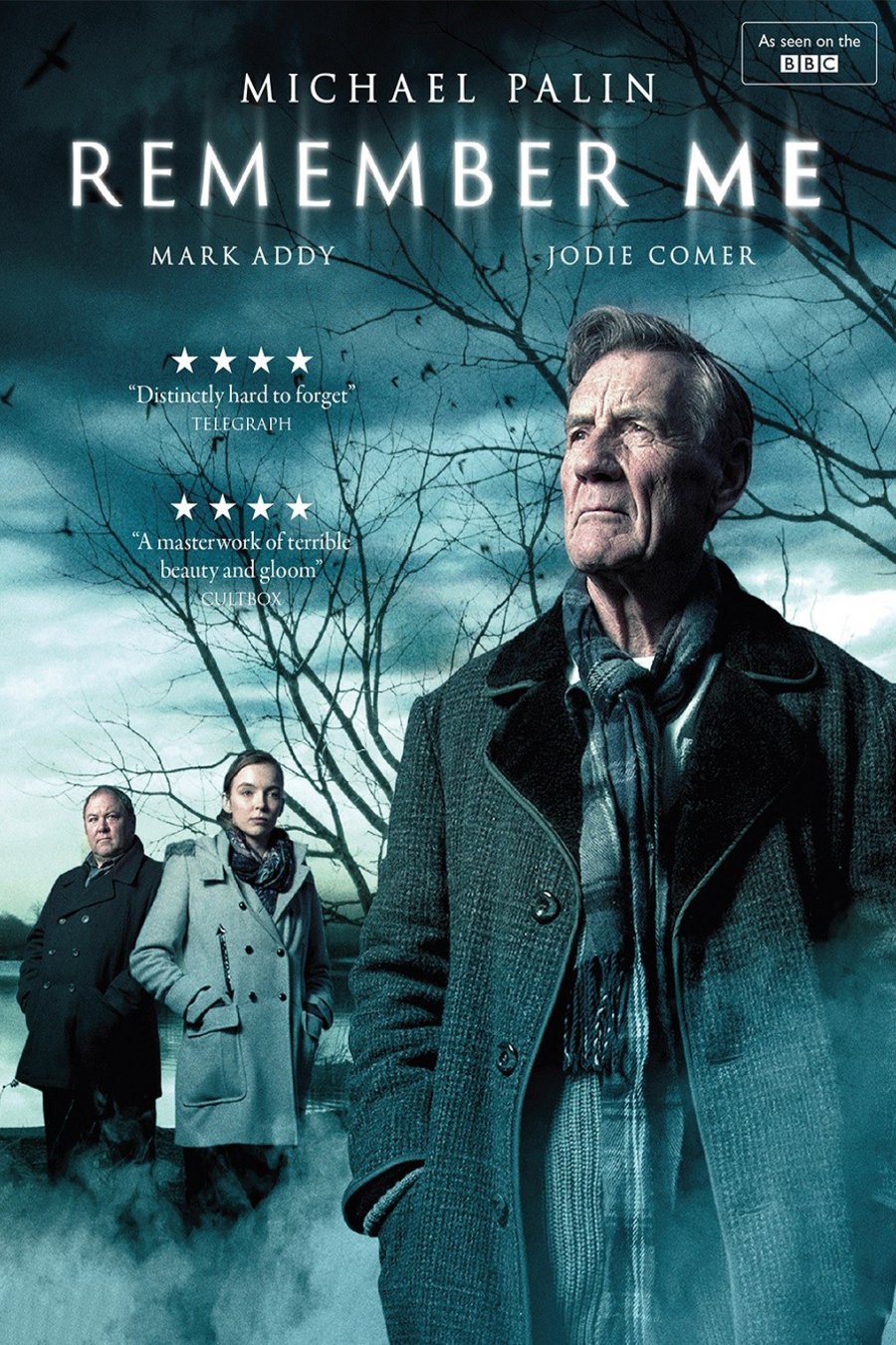 L'affiche du film Remember Me