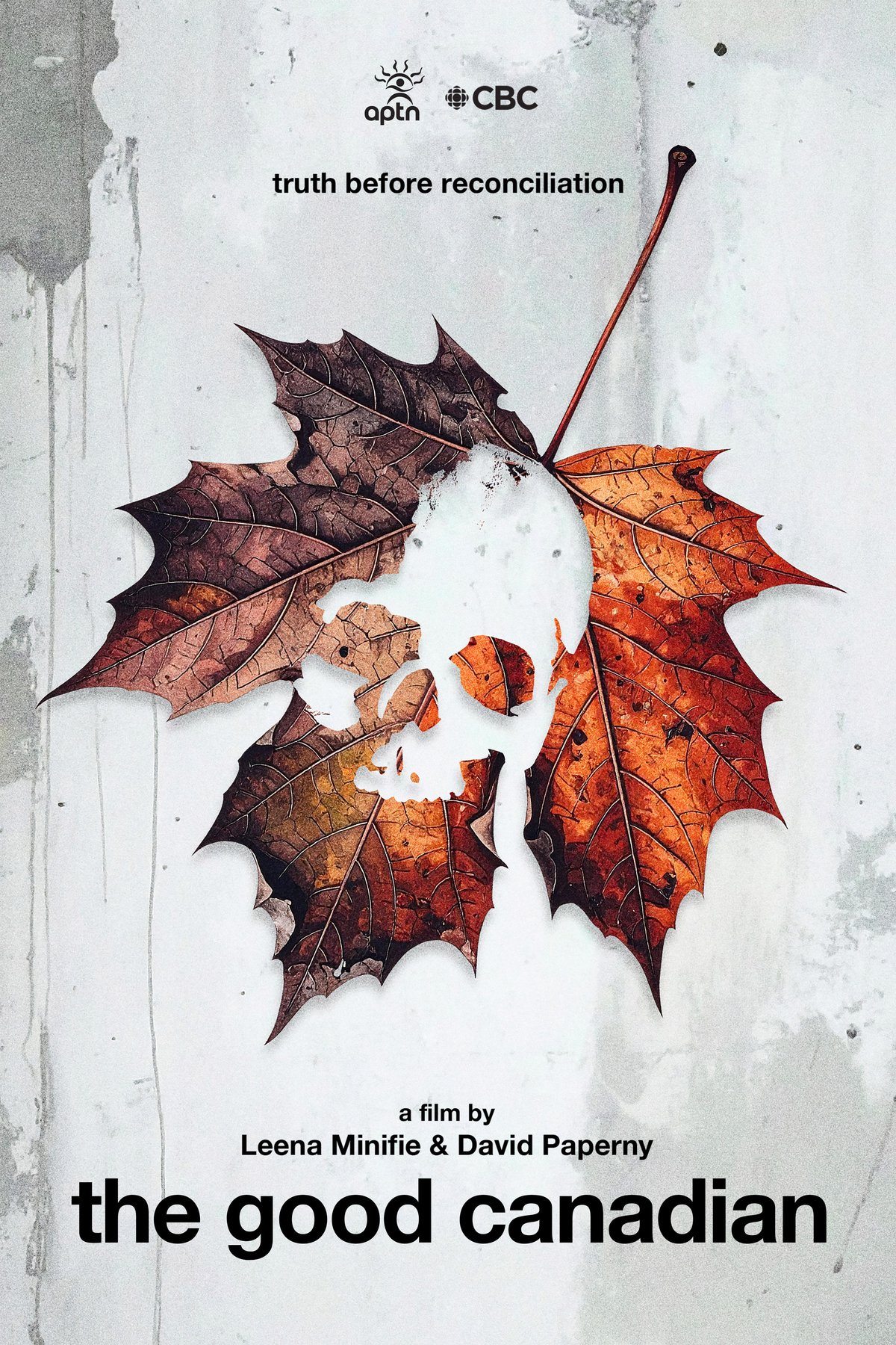 Poster of the movie The Good Canadian [2025]