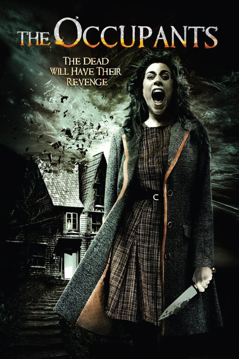 Poster of the movie The Occupants