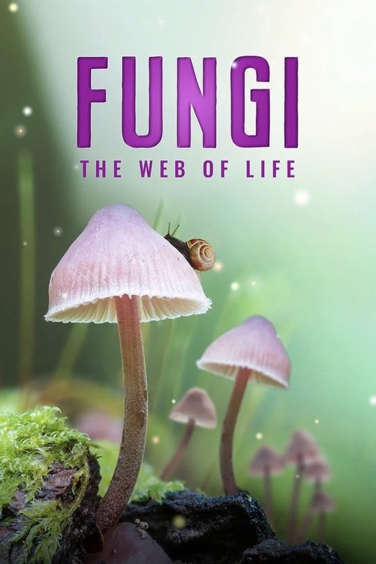 L'affiche du film The Secret World of Fungi [2023]
