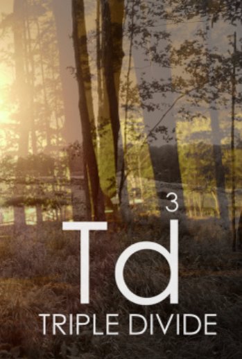 L'affiche du film Triple Divide