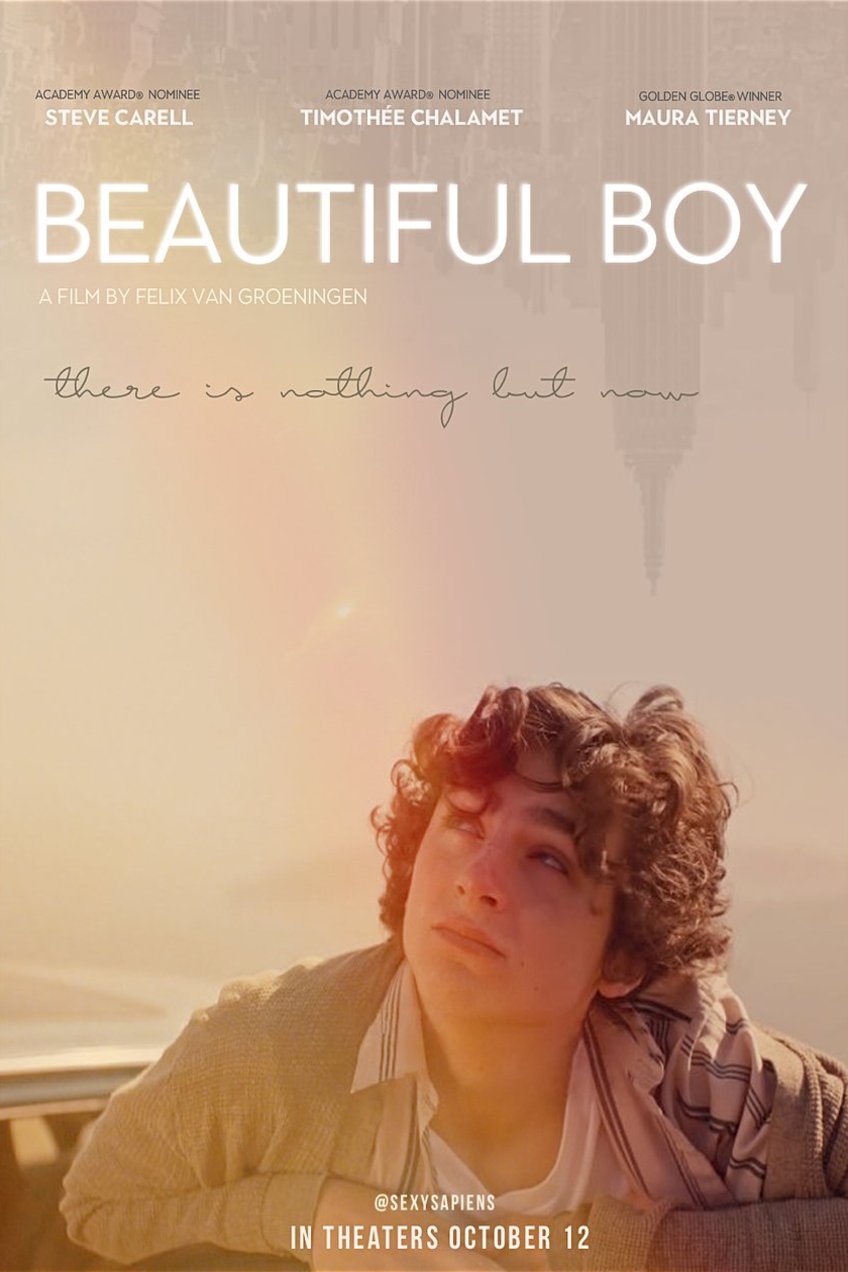 L'affiche du film Beautiful Boy