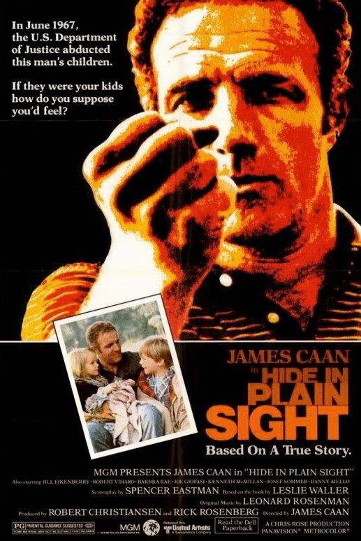 Poster of the movie Hide in Plain Sight