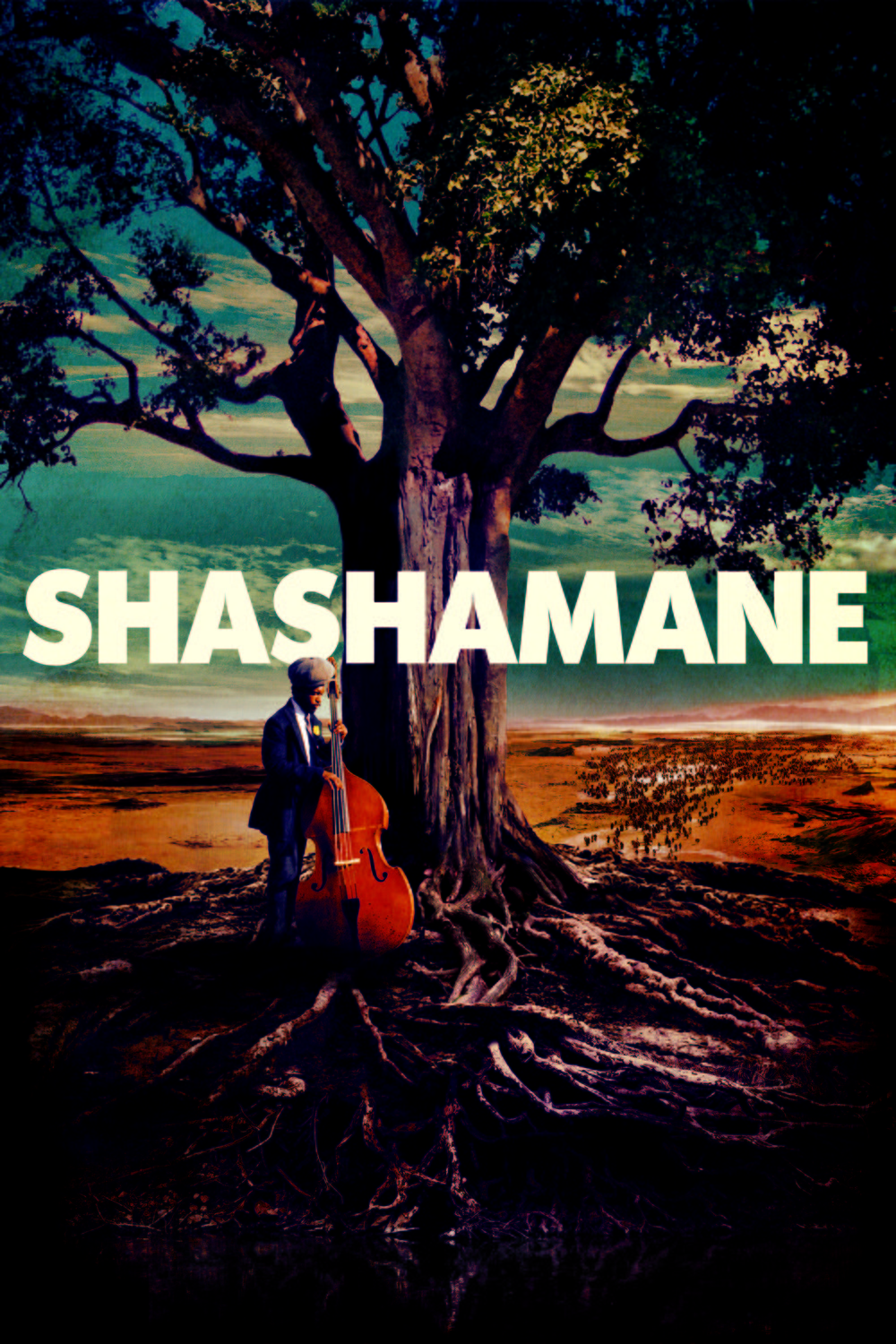 L'affiche du film Shashamane