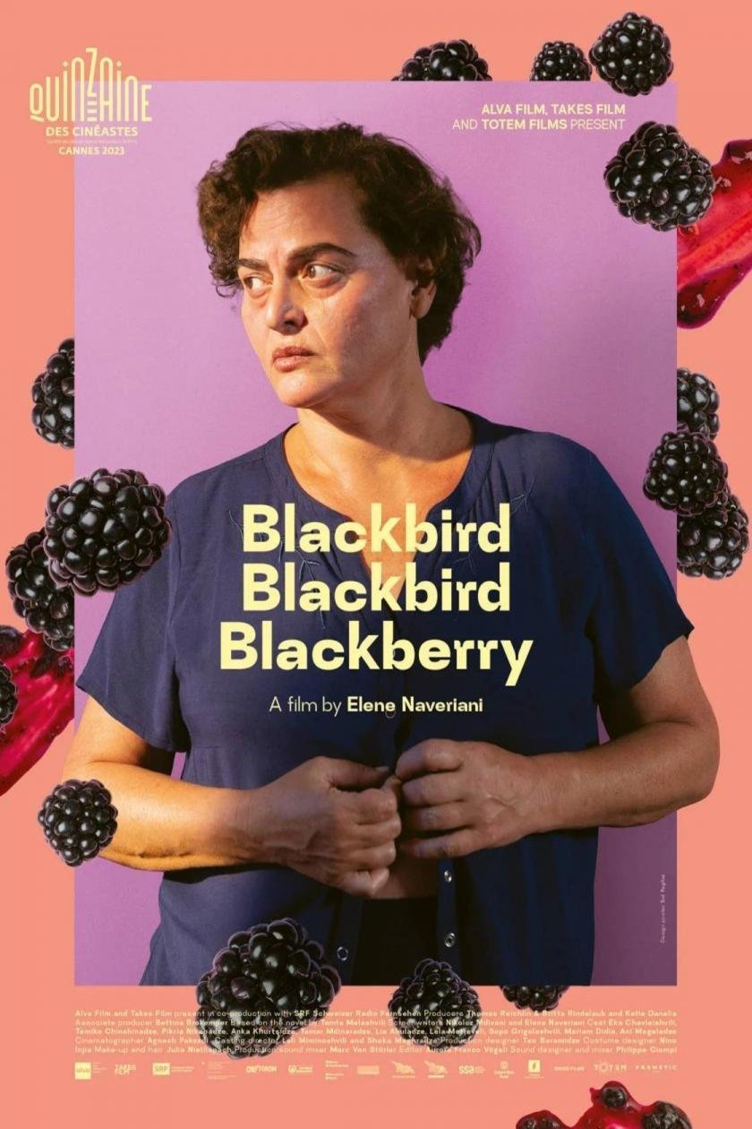 L'affiche du film Blackbird Blackbird Blackberry [2023]
