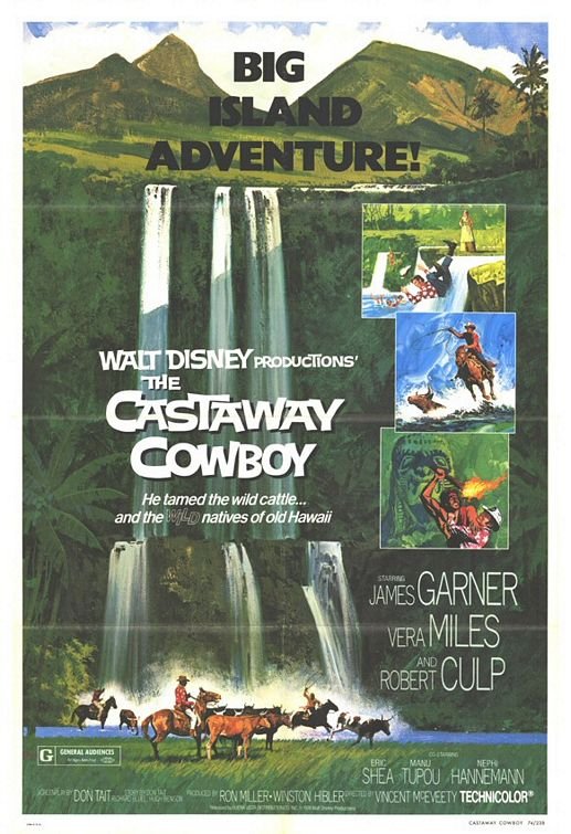Poster of the movie The Castaway Cowboy [1974]
