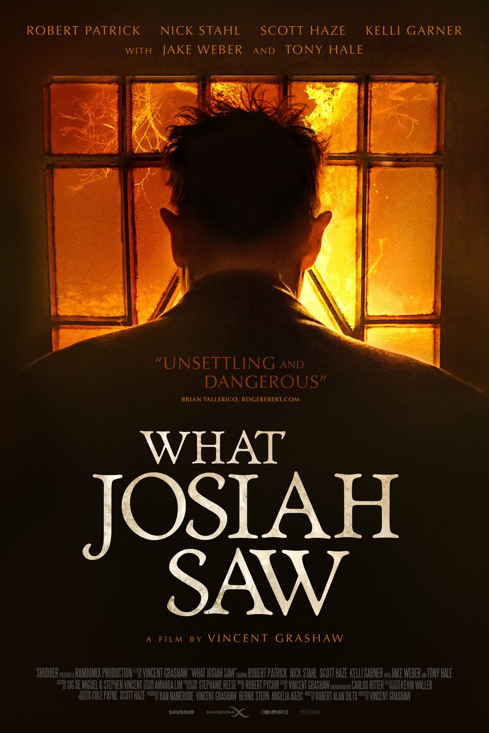 Poster of the movie What Josiah Saw