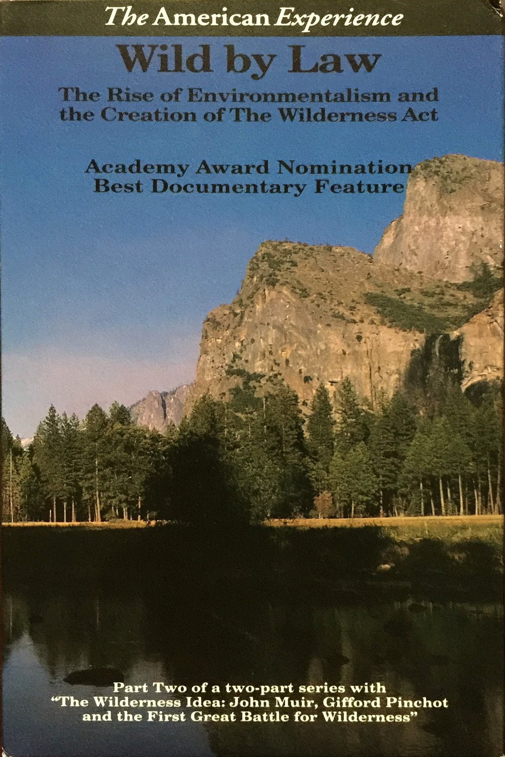 Poster of the movie Wild by Law