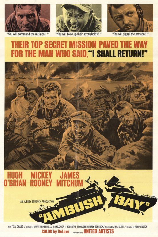 L'affiche du film Ambush Bay